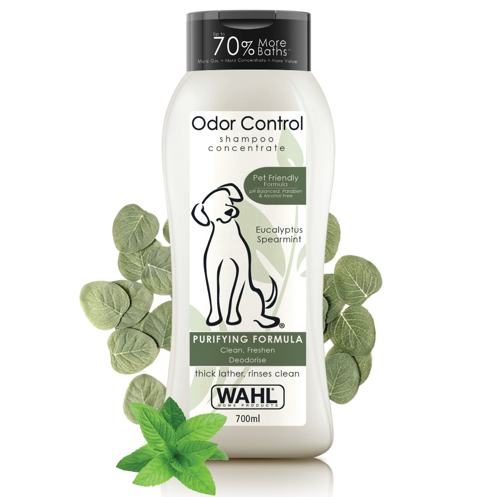 Odor control outlet dog shampoo